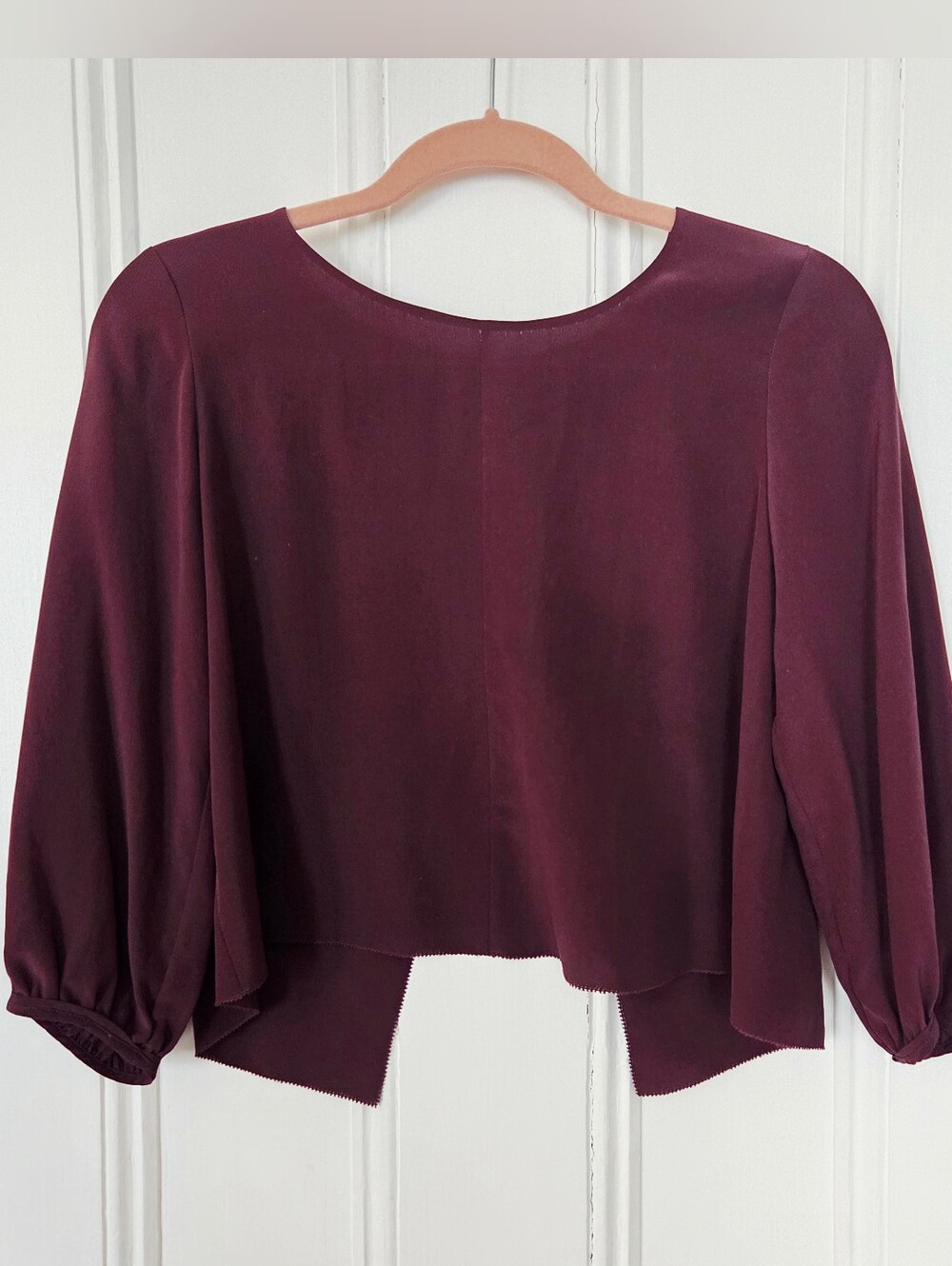 Aritzia Cropped Gathered Long-Sleeve Open Back Silk Top